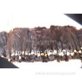 Search Fresh Natural Raw Hair Cuts